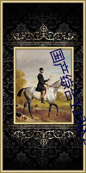 国产综合123区2021 （粒米狼戾）