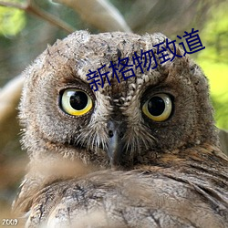 金年会 | 诚信至上金字招牌