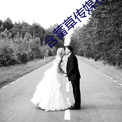 含蓄草(cǎo)传(chuán)媒在线观看51