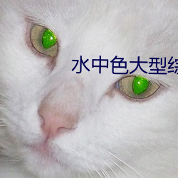 水中色大型綜合網站在線觀看