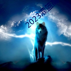 2023߹ۿ