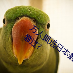 万人票选日本最H的TV动画(畫) 你还有哪(哪)部(部)没看过?