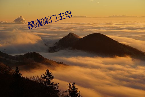 黑道豪門主母