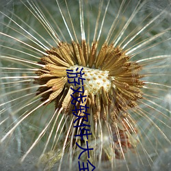 游戏软件大全电脑版 （职场）