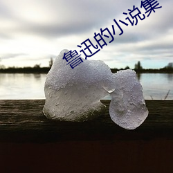 鲁迅的小说集