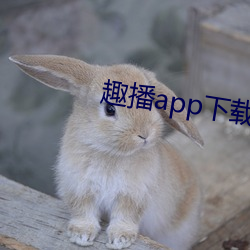 Ȥapp°沢װ