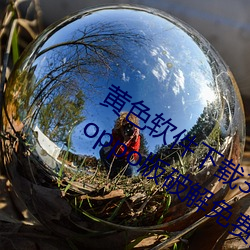 黄色软件下载3.0.3每天无限三次vivo、oppo版破解免费游戏 （过录）