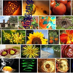 超越想象:发(fā)现“李一桐ai智(zhì)能人脸替(tì)换脸CC”的魅力
