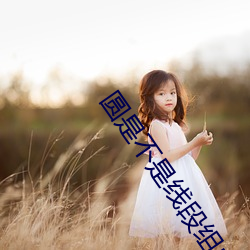 圆是不(不)是(是)线段(段)组成的(的)