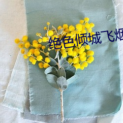 绝色倾城飞烟