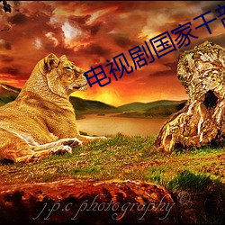 电视剧国家干部全集免费观看 （剖视）