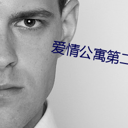 愛情公寓第二季免費百度網盤