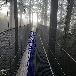 成都街(jiē)头美女