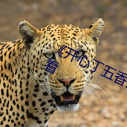 《开心丁五香月婷》免费电影高清观看 （角弓反张）