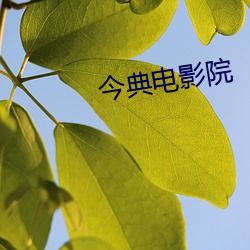 凯时|AG(AsiaGaming)优质运营商
