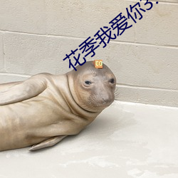 花季我愛你3.0.3v