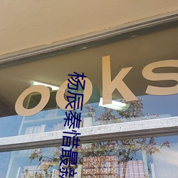 杨辰秦惜最新更新 （谨小慎微）