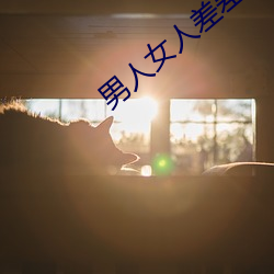 男人女人差差差差很疼30分钟 （一鳞半爪）