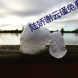 陸嬌謝雲瑾免費閱讀