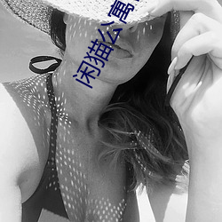 闲猫公寓官网