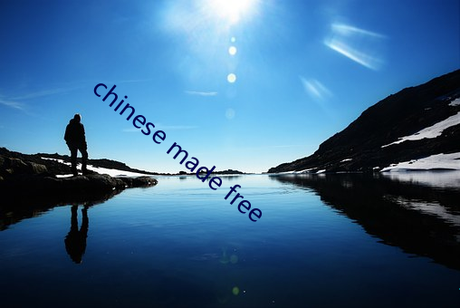 chinese made free