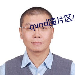 qvod图片区小说区电影 （招兵）