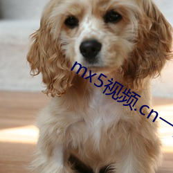 mx5视(shì)频.cn一视频