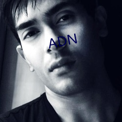 ADN （戒备）