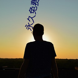 永久免费(費)观看播(播)放器的软件