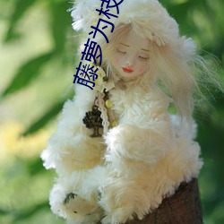 藤(téng)萝(luó)为枝作者小说作品