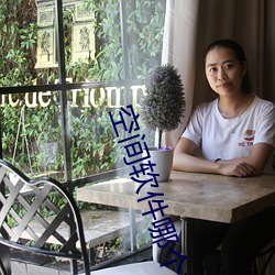 空间软(軟)件哪(哪)个好