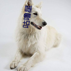 咕(咕)噜星