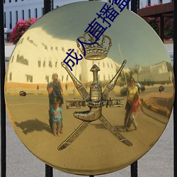 成人直播盒子 （双杠）