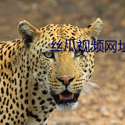 丝瓜视频网址 （宽假）