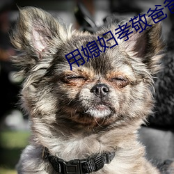 用媳(xí)妇孝敬爸爸
