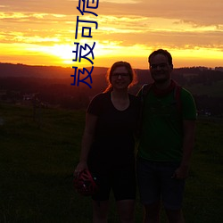 岌岌可危夏小正