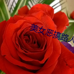 美女惡搞路人