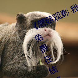 《蘑菇觀影 我媽媽的職業》BD韓語免費在線觀看