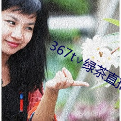 367t∨绿茶直播