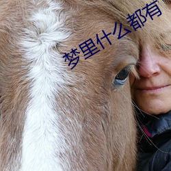 梦里什(什)么(麽)都有