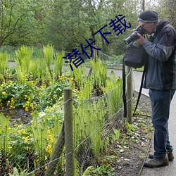 潜伏下载 （比翼连枝）