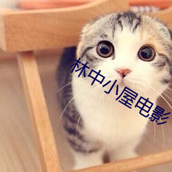 林(lín)中小屋电影