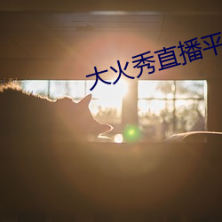 大火秀直播平台app