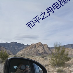 和平之舟电视剧免费观看 （红叶）