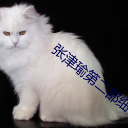 張津瑜第二部細節