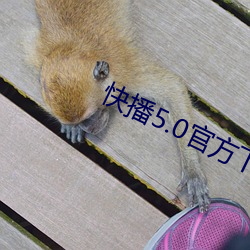 快播5.0官方下載