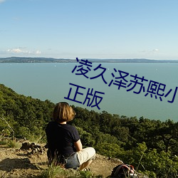 淩久澤蘇熙小說免費閱讀婚後心動正版