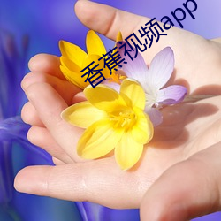 香蕉视频app