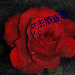 女主播直(直)播(播)