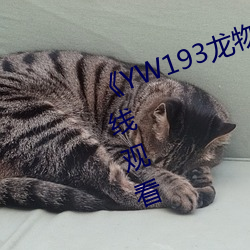 《YW193龙(lóng)物(wù)新(xīn)地(dì)址》免费(fèi)不(bù)卡在线(xiàn)观看(kàn)